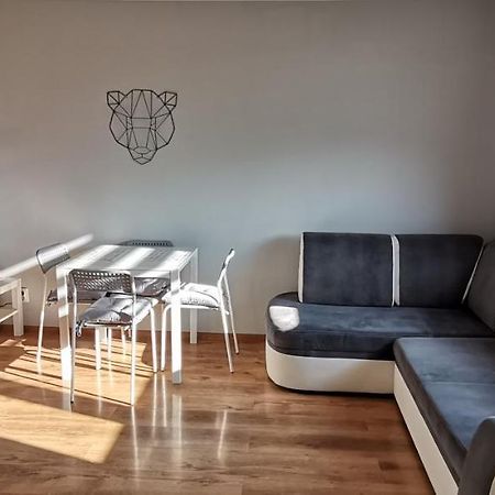 Apartament Przy Papierni Duszniki Zdrój Exterior foto